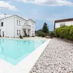Piscina 4